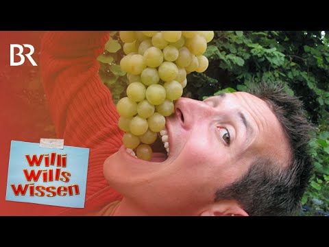 2023er Schwarzer Peter rot trocken - Peter Rudloff